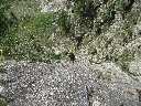 Zoom mini-P8100028.JPG