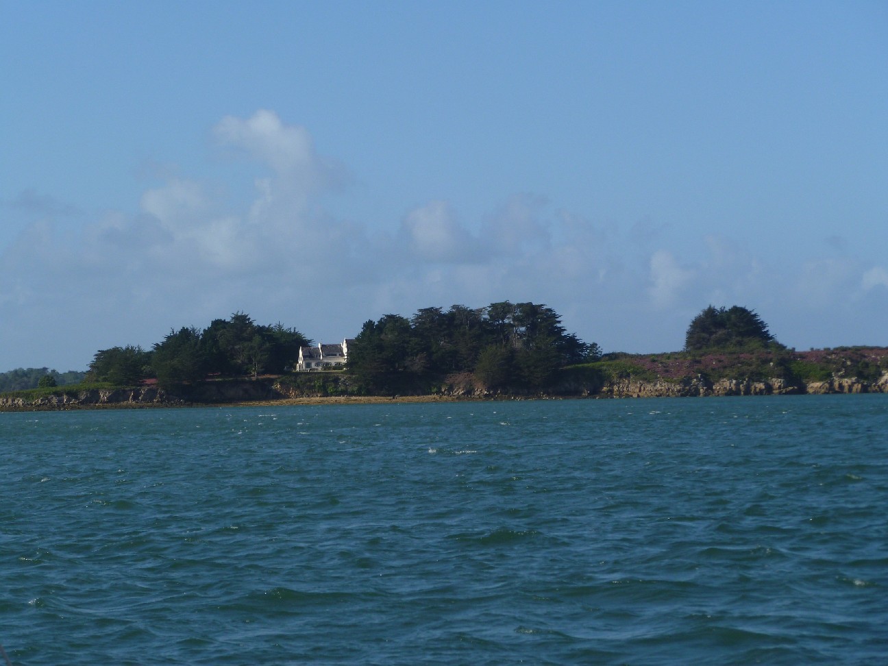 P1050065.jpg