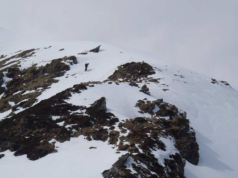 Zoom reduit-IMGP0146.jpg