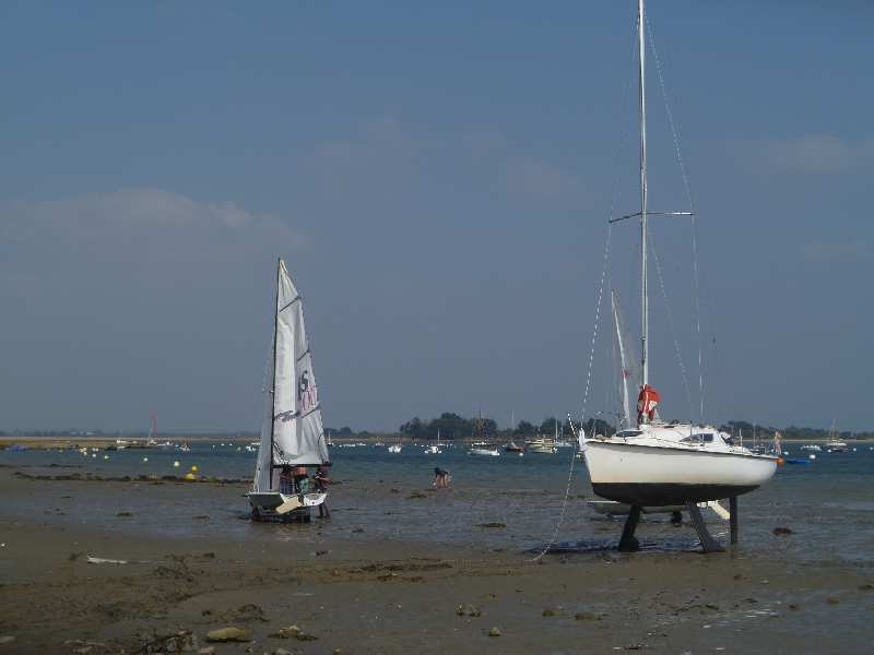Zoom reduit-P1050209.jpg