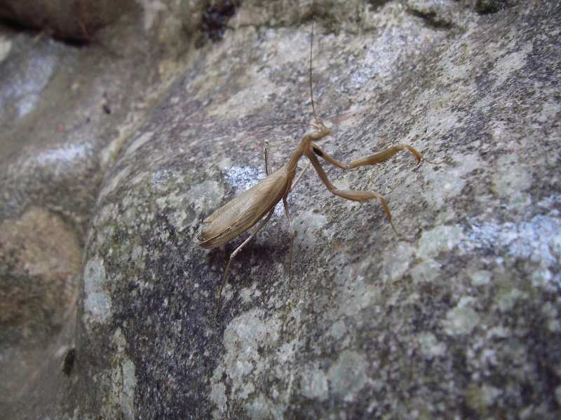 Zoom reduit-10-P4920.jpg