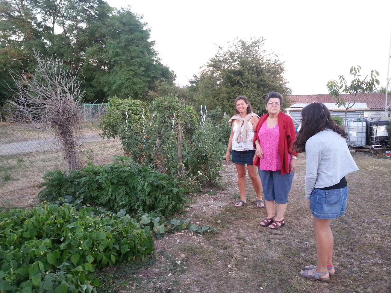 20130821_205136.jpg