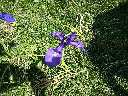 Zoom mini-20140806_150802.jpg