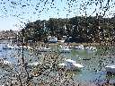 Zoom mini-20150406_122454.jpg