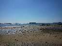 Zoom mini-20150406_140415.jpg