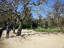 Zoom mini-20150406_140459.jpg