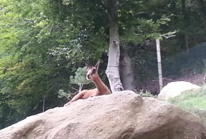Zoom reduit-20130824_173223.jpg