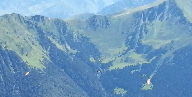 Zoom reduit-20130825_143631.jpg