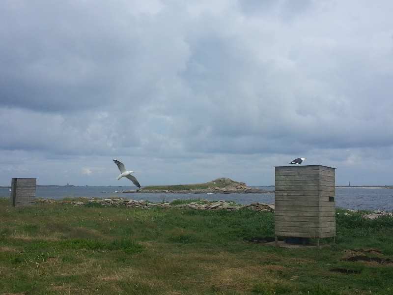 Zoom reduit-20140630_185650.jpg