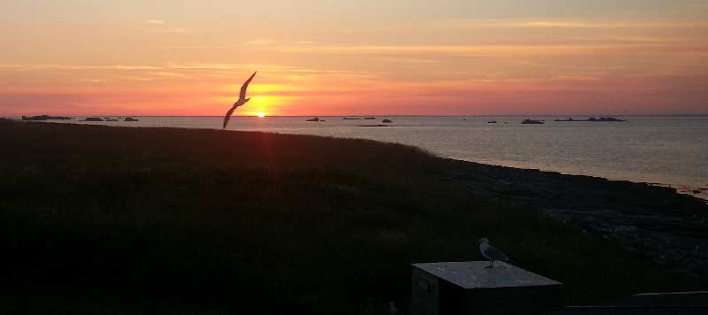 Zoom reduit-20140702_221722.jpg