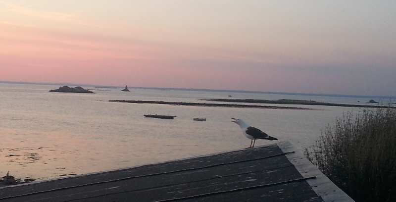 Zoom reduit-20140702_221735.jpg