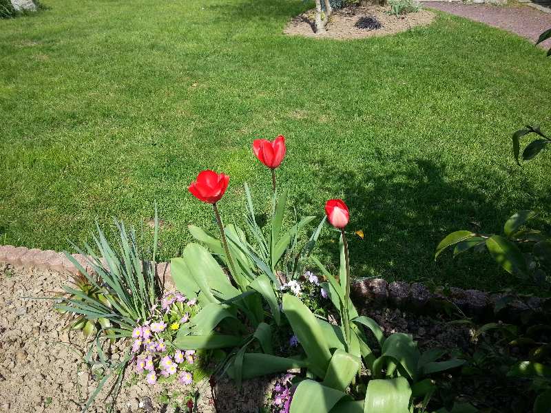 Zoom reduit-20150406_145902.jpg