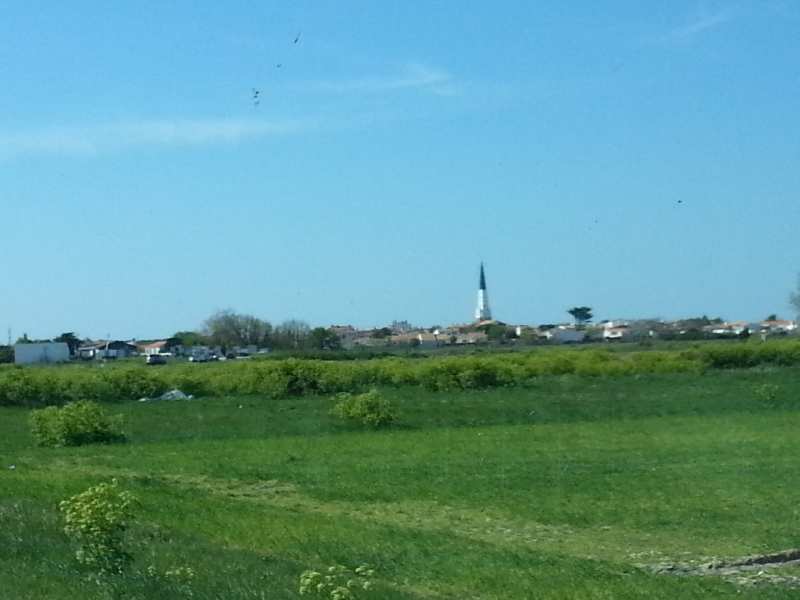 Zoom reduit-20150419_162351.jpg