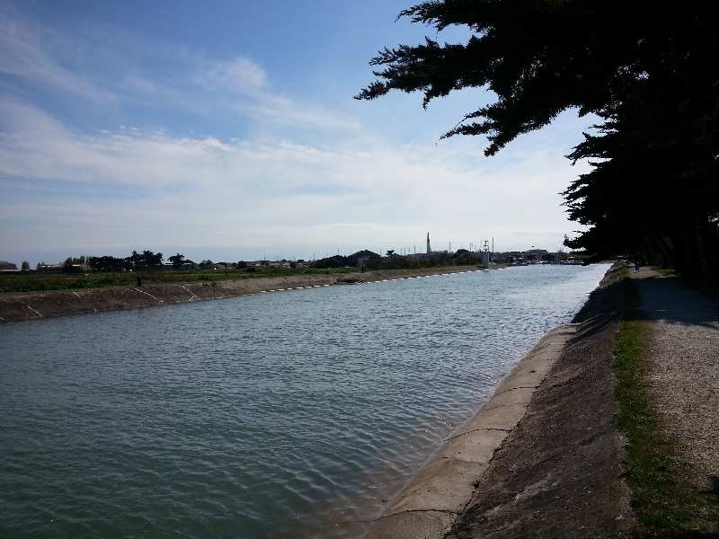 Zoom reduit-20150419_171448.jpg