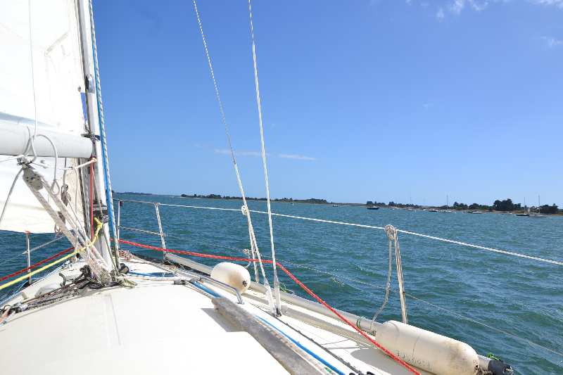 Zoom reduit-DSC_0368.jpg
