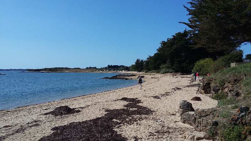 Zoom reduit-20150907_124230.jpg