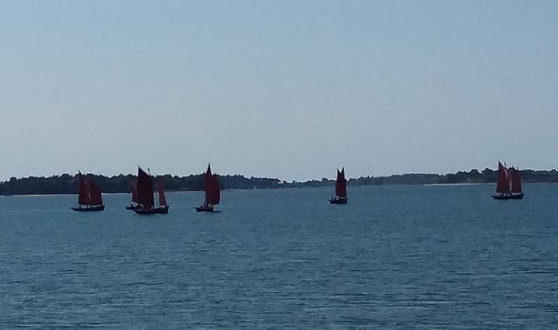 Zoom reduit-20150907_135450.jpg