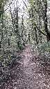 Zoom mini-20190404_150043.jpg