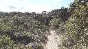 Zoom mini-20190404_170728.jpg