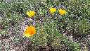 Zoom mini-20190405_142553.jpg