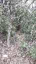 Zoom mini-20190405_180110.jpg