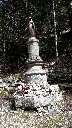Zoom mini-20190414_135132.jpg
