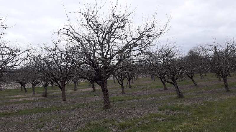 Zoom reduit-20190301_172857.jpg