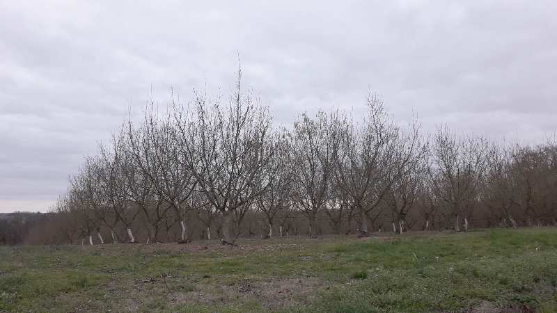 Zoom reduit-20190301_181150.jpg