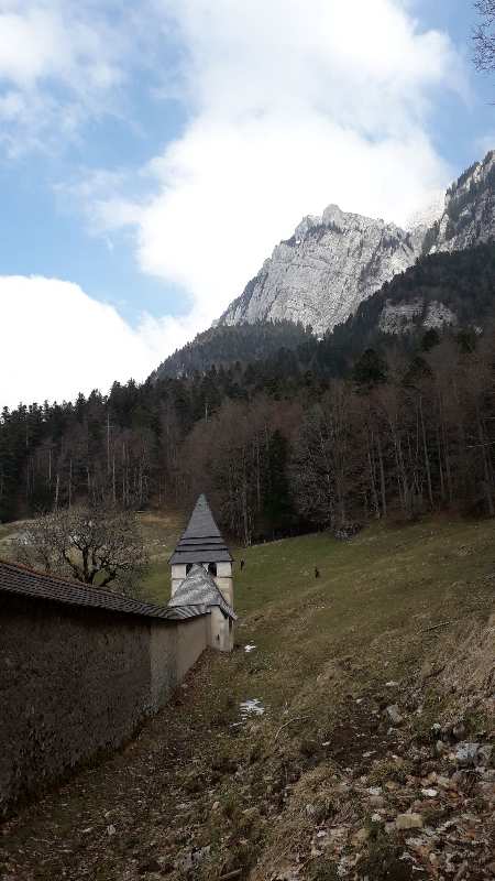 Zoom reduit-20190414_142105.jpg
